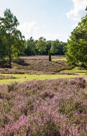 Landschaftsschutzgebiet Höpen