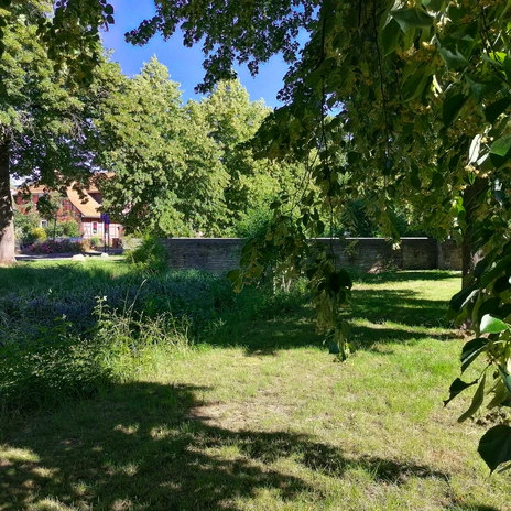 Brücke ohne Fluss Rothenfelde.jpg