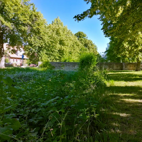 Brücke ohne Fluss Rothenfelde 2.jpg