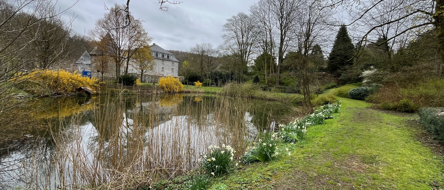 Rundweg im Herzen von Velbert Rundweg entlang eines Teichs mit Schloss Hardenberg. Bäume, Forsythien und Narzissen säumen den Weg.