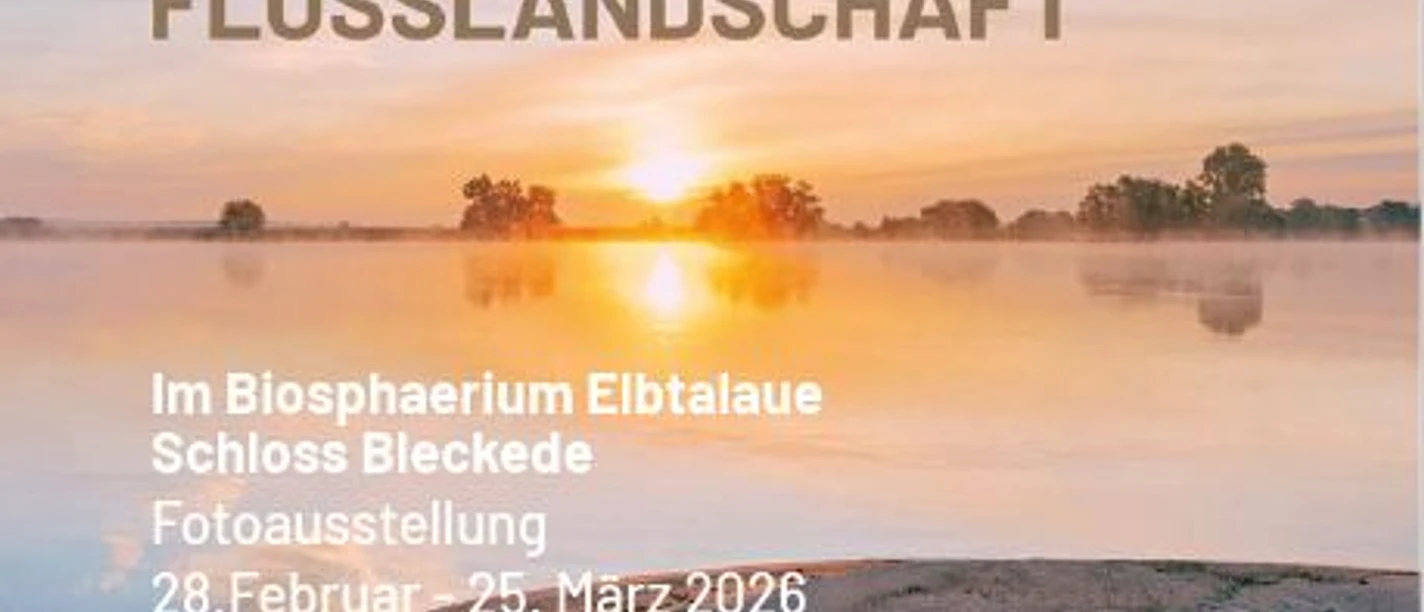 Poster ElbeGefühle.JPG