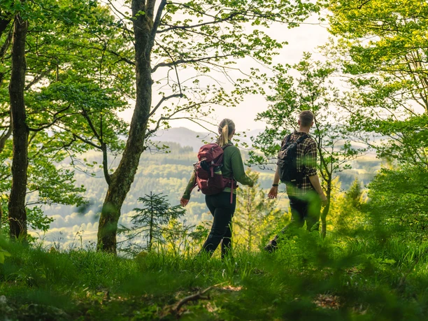 Wandern durch den Buchenwald Zwei Wanderer mit Rucksäcken gehen durch grünen Buchenwald mit Blick ins Sauerland