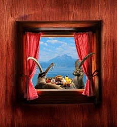 Panorama-Brunch
