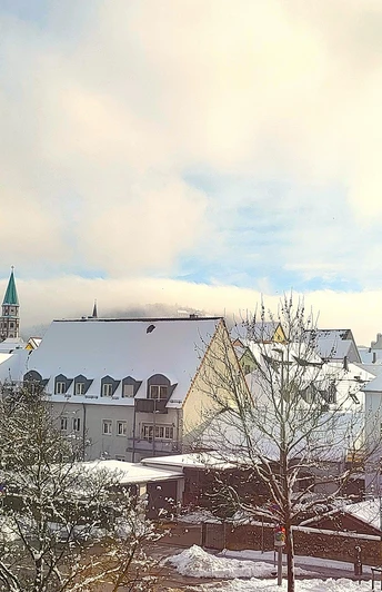 Verschneites Neumarkt I (Foto Christine Riel).jpg