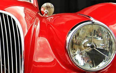 jaguar-1576109_1280.jpg