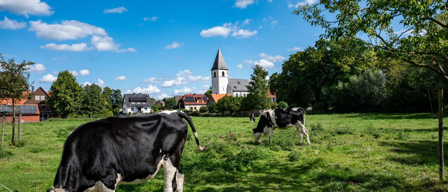 Welver-Dinker_Ahseweg_2025(c) Tim Seiffert.jpeg