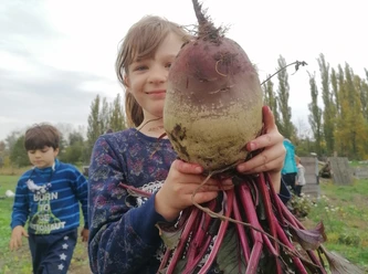 Mädchen mit roter Bete Ein Mädchen hält stolz eine große rote Bete