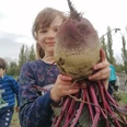 Mädchen mit roter Bete Ein Mädchen hält stolz eine große rote Bete