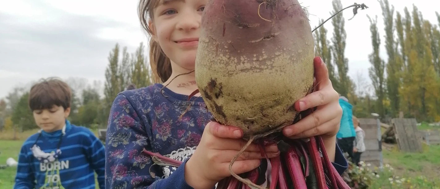 Mädchen mit roter Bete Ein Mädchen hält stolz eine große rote Bete