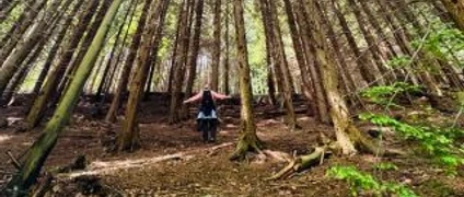 Genusstour Eifgenbachtal Wandernde Person mit ausgebreiteten Armen in einem von hohen Bäumen geprägten Wald im Eifgenbachtal.