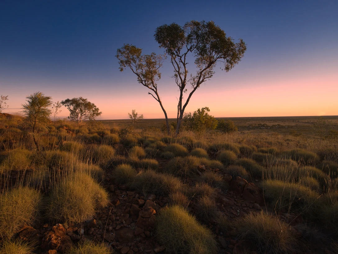 Führung am 8.2._Naehe_WolfeCreek_Meteoritenkrater_Martin A. Seth.jpg