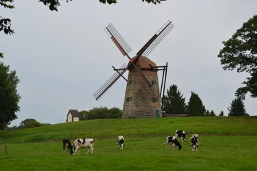 Windmühle Uelsen 2017 DSC_0166.JPG