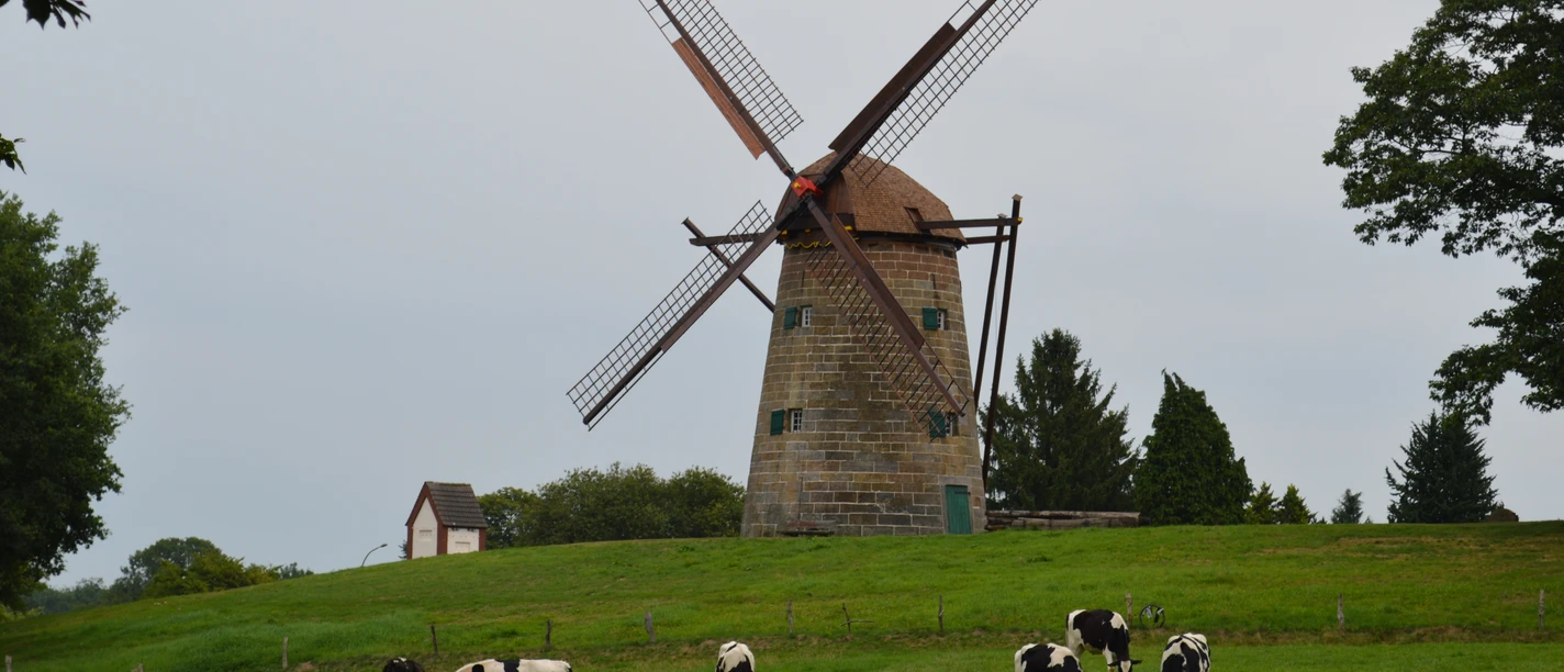 Windmühle Uelsen 2017 DSC_0166.JPG