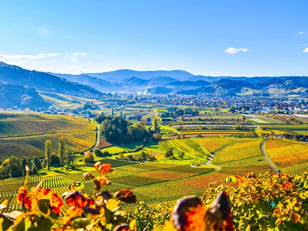 Blick nach Oberkirch