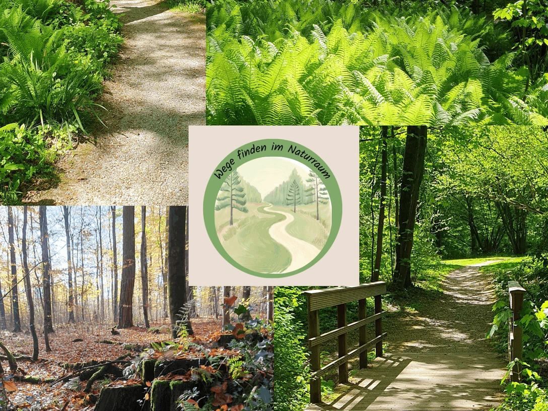 Natur erleben, Resilienz stärken, Balance finden