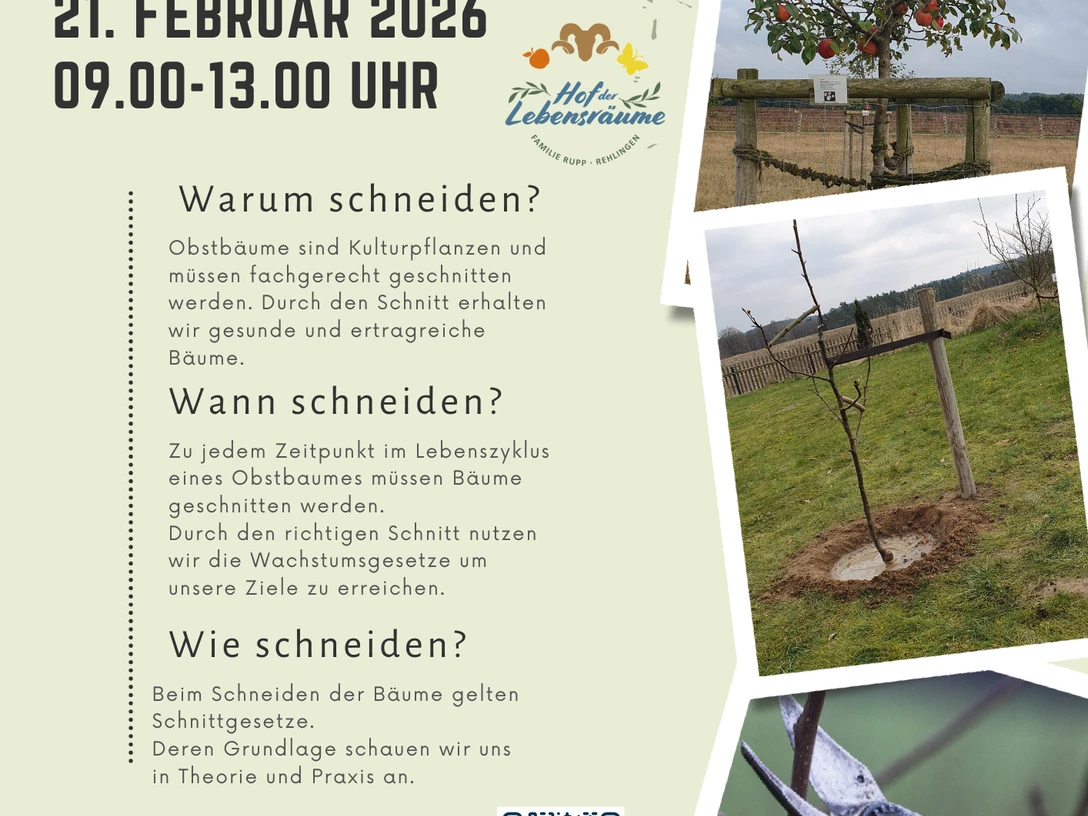 Obstbäume richtig pflanzen Flyer_20260124_152035_0000.png