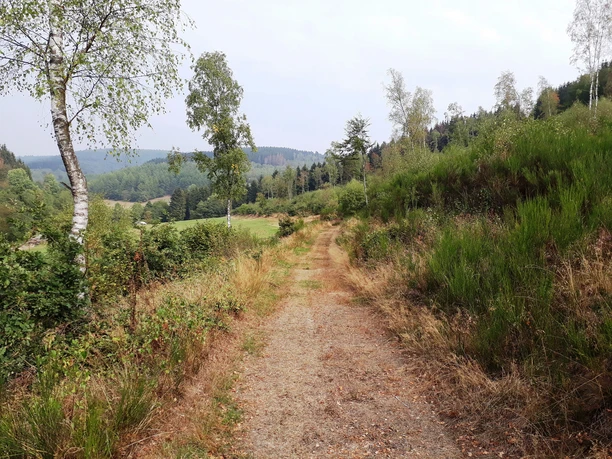 wandern-durch-die-hauberge-auf-dem-koehlerpfad.jpg