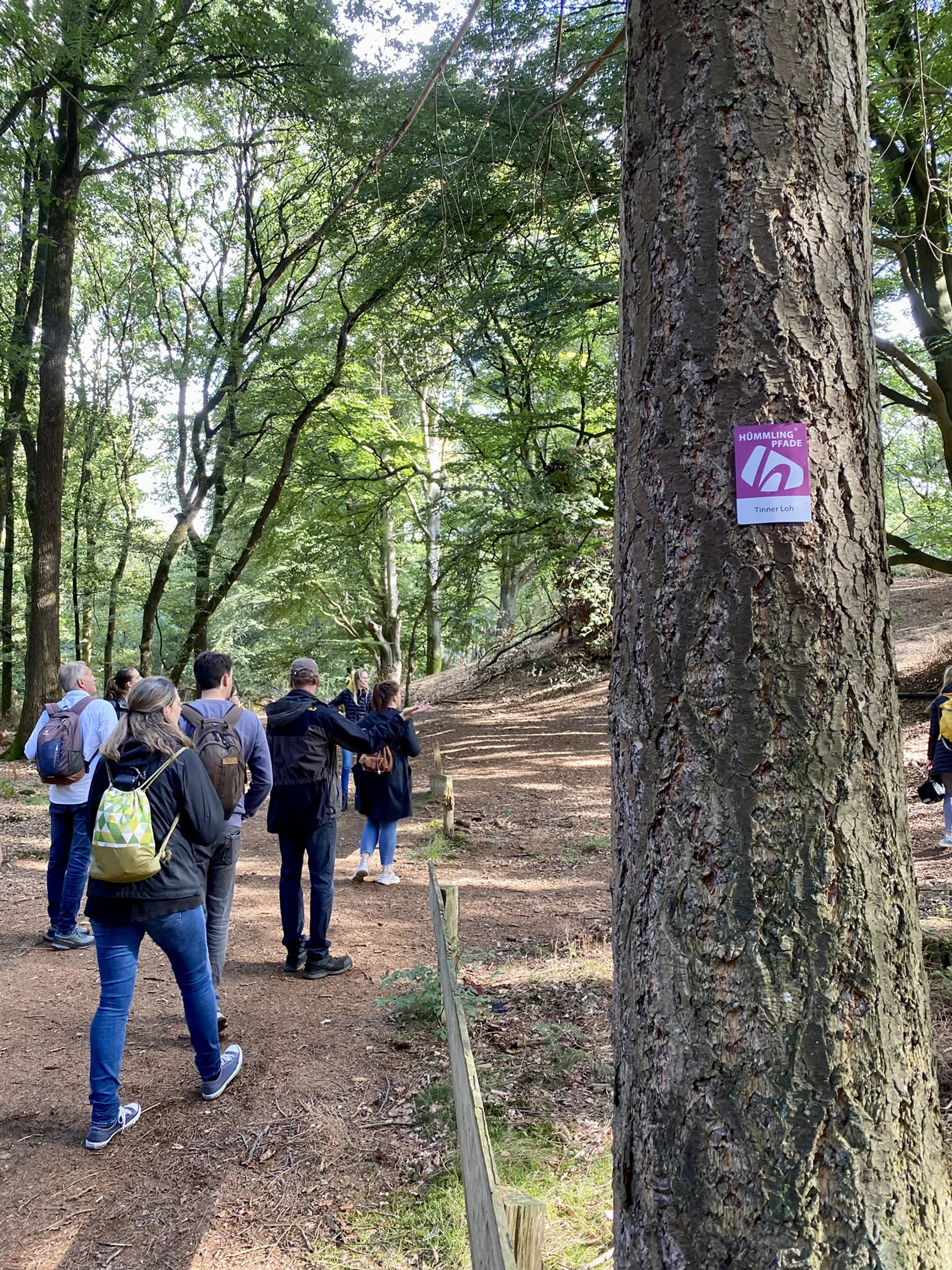 Hümmling-Pfad_TinnerLoh©NaturparkMoor.JPEG