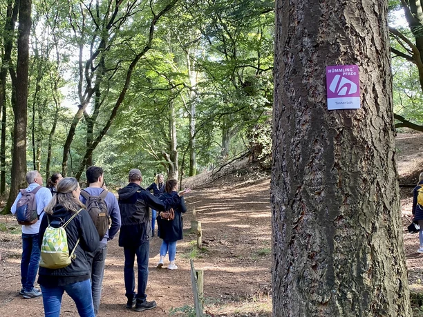 Hümmling-Pfad_TinnerLoh©NaturparkMoor.JPEG