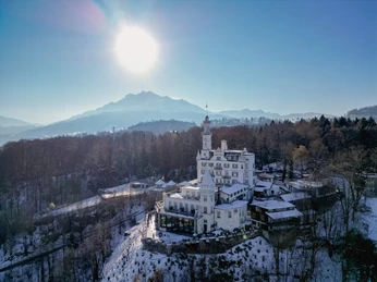 Profitez de la vue magnifique depuis la terrasse de l'hôtel ou promenez-vous dans la forêt de Gütschwald, l'un des poumons verts de Lucerne.