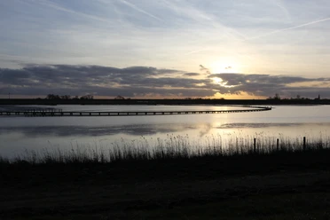 Langwarder Groden bei Dämmerung