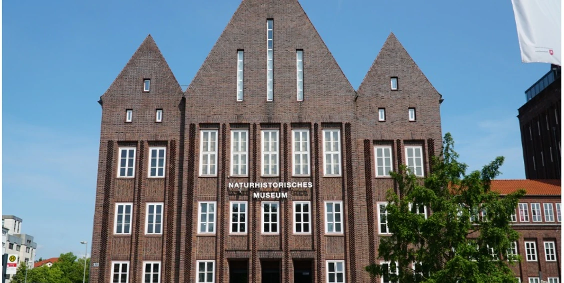 NHM- Foto Museum.jpg