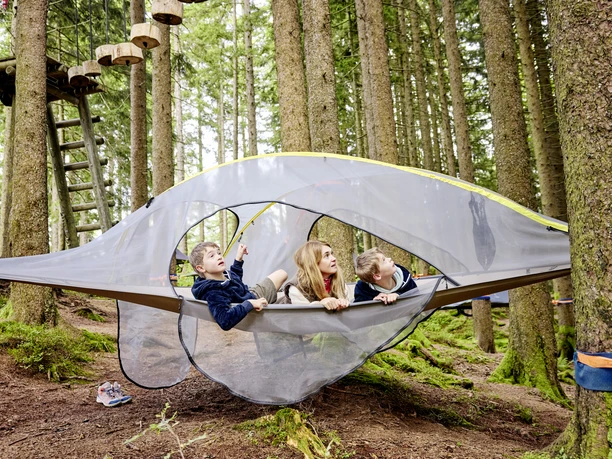 Tree Tents