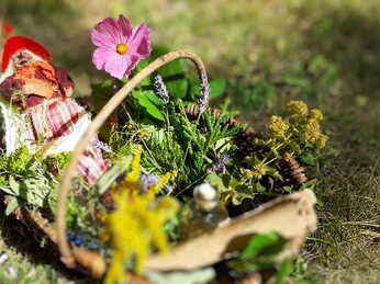 Kräuterkorb der Hexenführung in Celle Kräuterkorb mit Blüten und Figur bei der Hexenführung in Celle