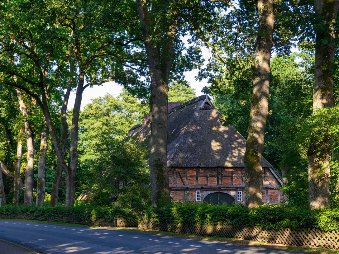huetzel-gemeinde-bispingen.jpg Fachwerkhaus mit Reetdach hinter hohen Bäumen an einer ruhigen Straße im Dorf Hützel.