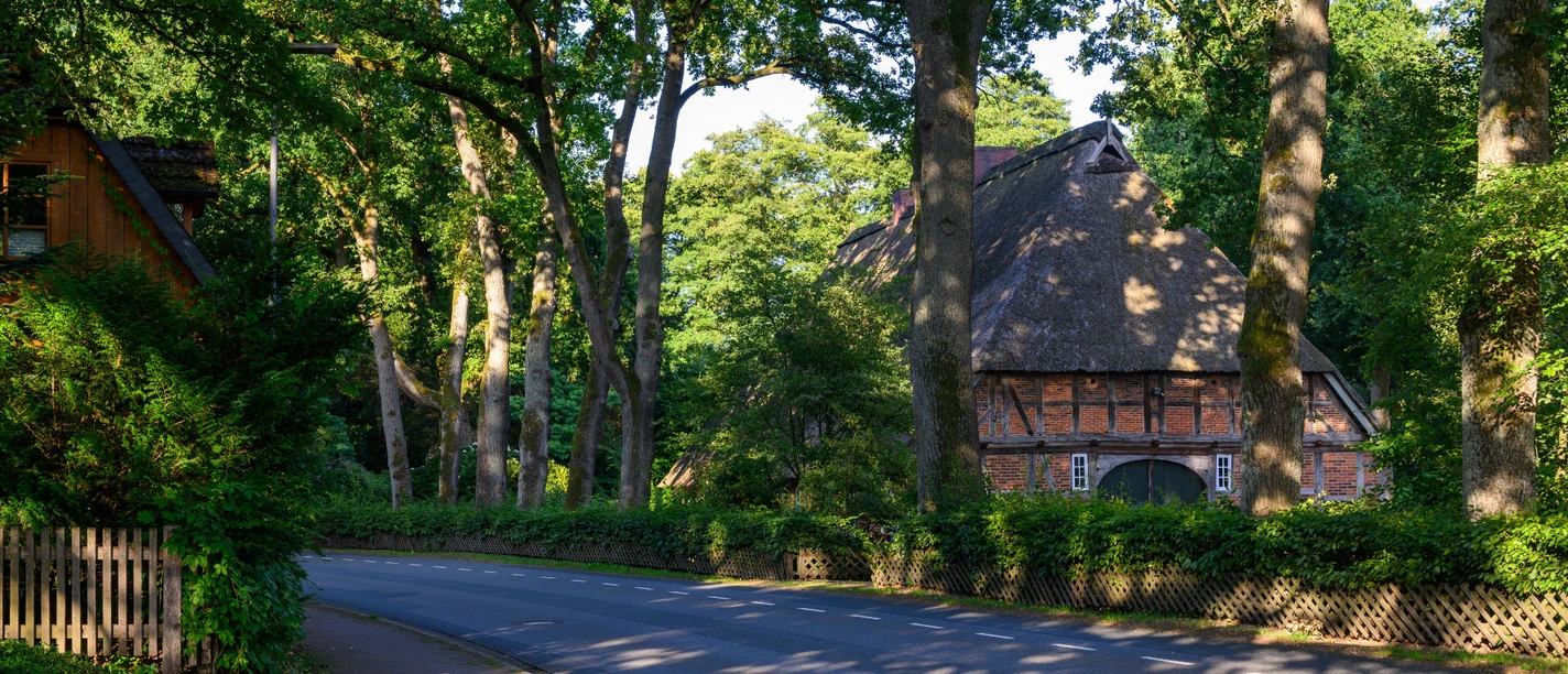 huetzel-gemeinde-bispingen.jpg Fachwerkhaus mit Reetdach hinter hohen Bäumen an einer ruhigen Straße im Dorf Hützel.