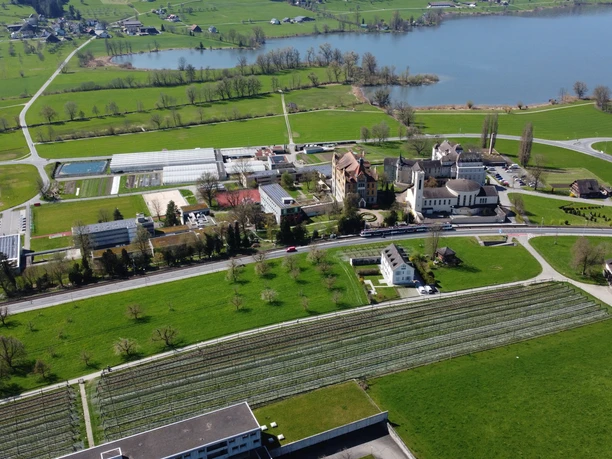 Entdeckungsjagd Hochdorf Baldegg Kloster von oben