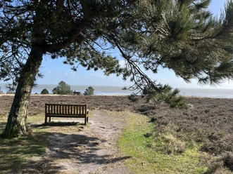 Bank an der Kupferkanne in der Braderuper Heide in Kampen