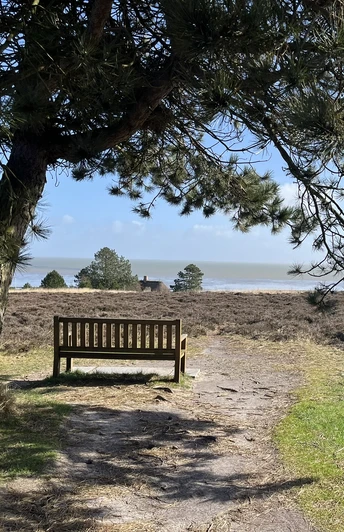 Bank an der Kupferkanne in der Braderuper Heide in Kampen