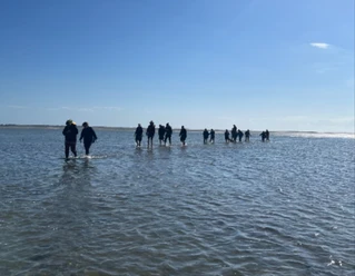 NP Wattwanderung zur Insel Spiekeroog Bild 1.jpg