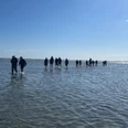 NP Wattwanderung zur Insel Spiekeroog Bild 1.jpg