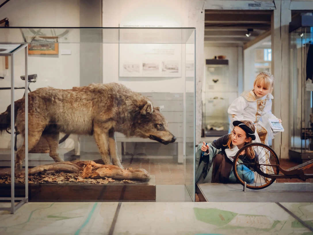 Foto: Stadtmuseum im M2K, Janina Snatzke verkleidete Kinder schauen sich neugierig in einem Museum einen ausgesopften Wolf an