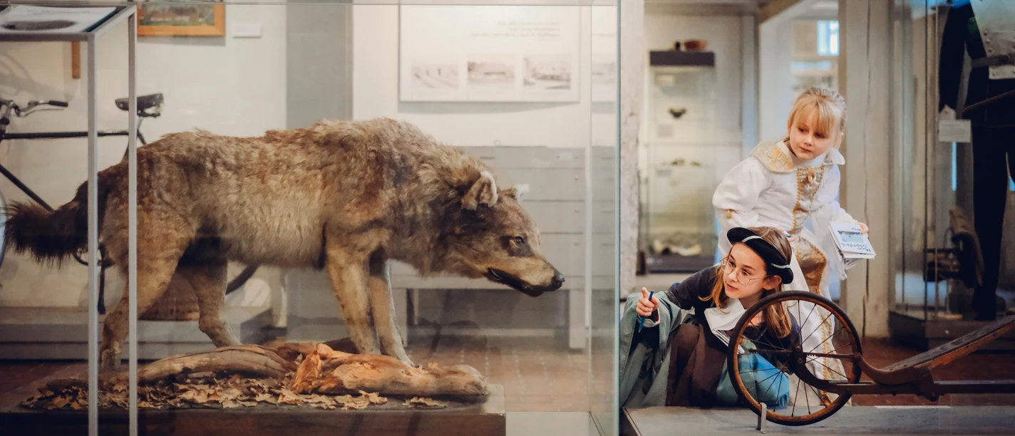 Foto: Stadtmuseum im M2K, Janina Snatzke verkleidete Kinder schauen sich neugierig in einem Museum einen ausgesopften Wolf an
