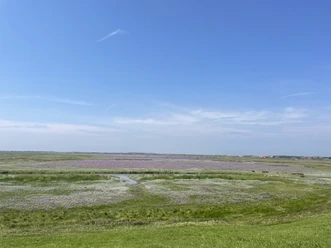 NP Wattwanderung zur Insel Spiekeroog Bild 2.jpg
