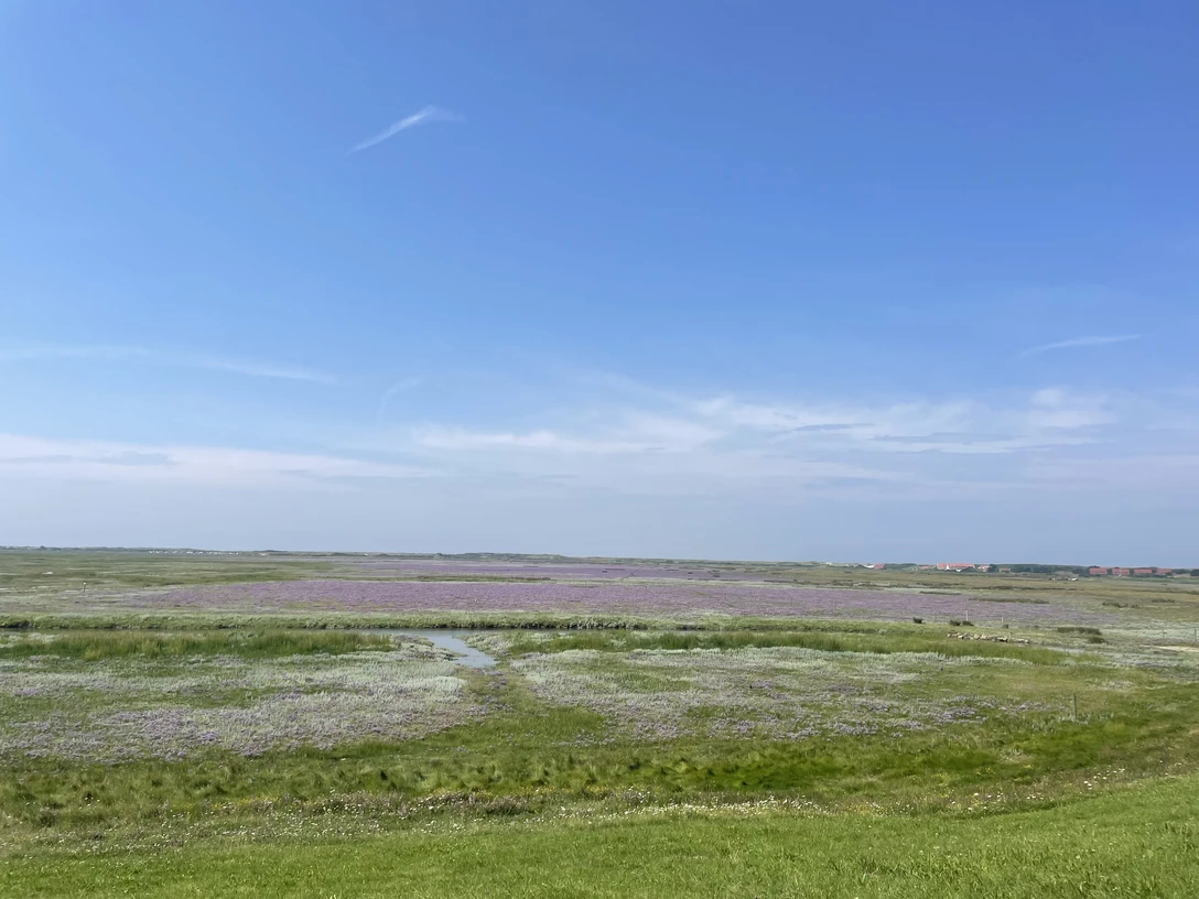 NP Wattwanderung zur Insel Spiekeroog Bild 2.jpg
