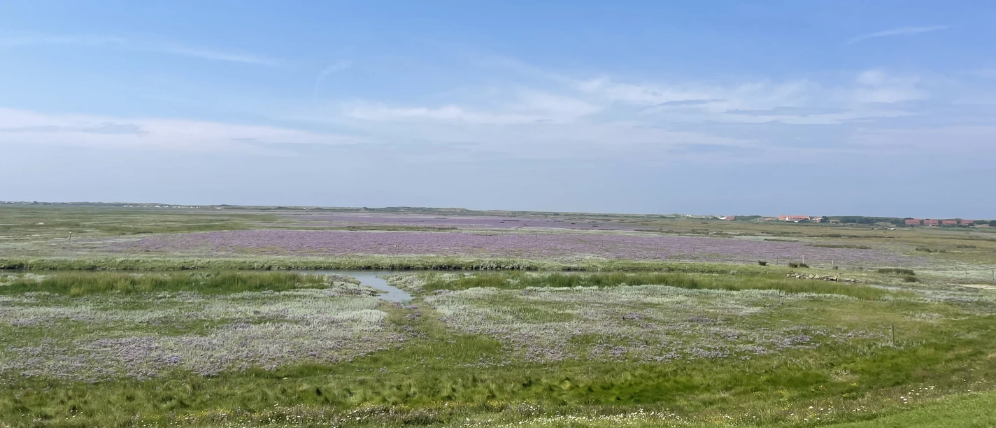 NP Wattwanderung zur Insel Spiekeroog Bild 2.jpg