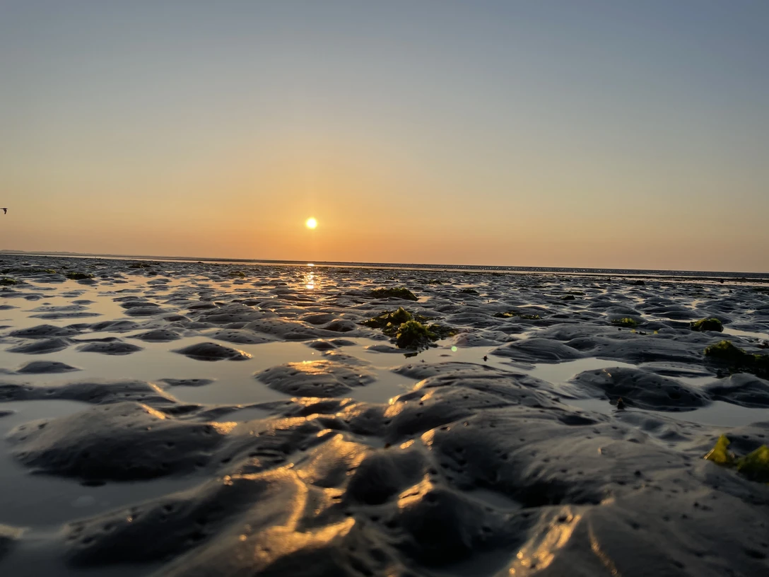 NP Wattwanderung von Baltrum zurück Bild 2.jpg