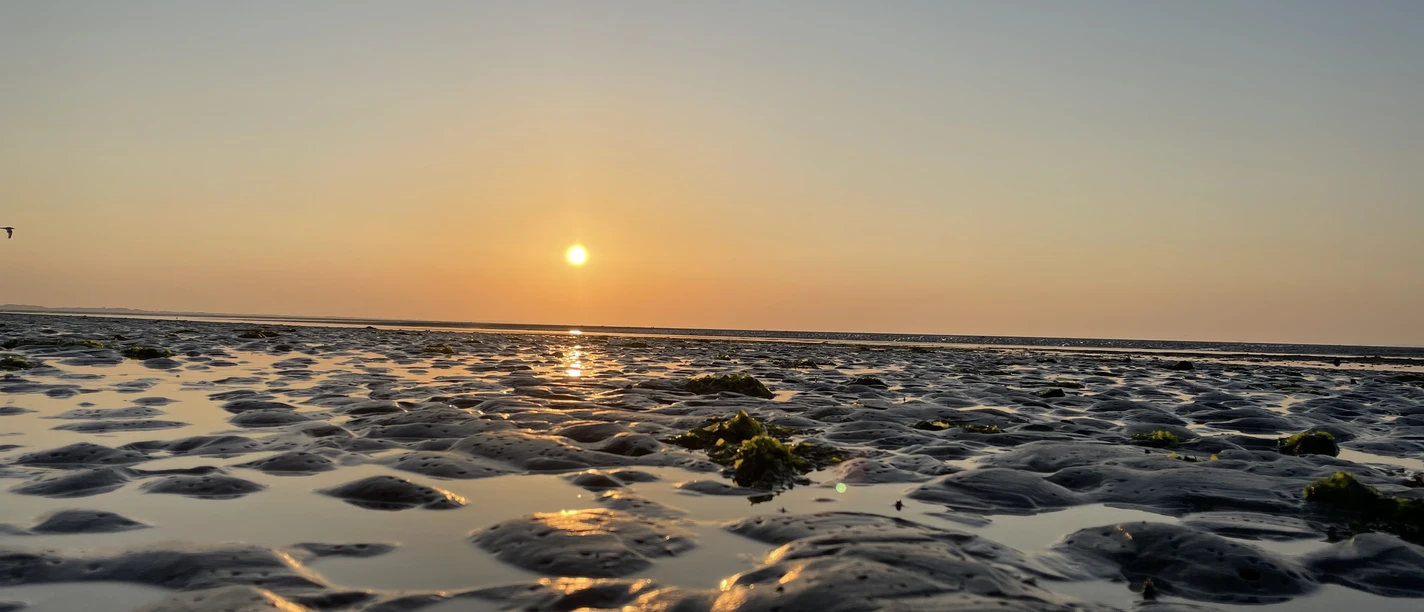 NP Wattwanderung von Baltrum zurück Bild 2.jpg