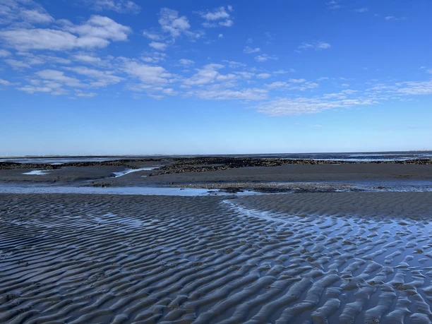 NP Wattwanderung zur Insel Norderney Bild 2.jpg