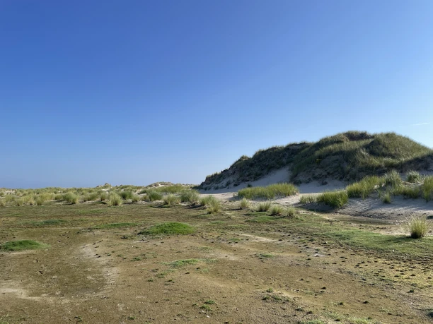 NP Wattwanderung zur INsel Norderney Bild 4.jpg