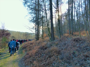 Hansaweg-Etappe 1-Wanderfrfeunde Bad Salzuflen eV.jpg