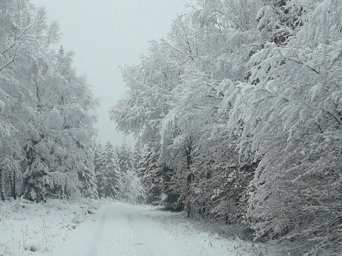 Winterstimmung und Limes-Verlauf