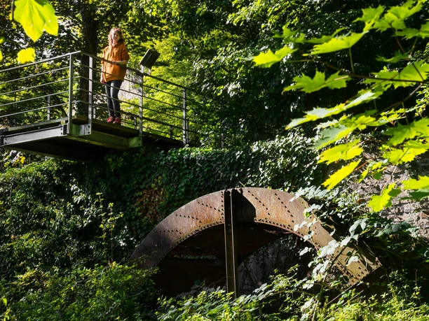 Mühlrad Allner Mühle