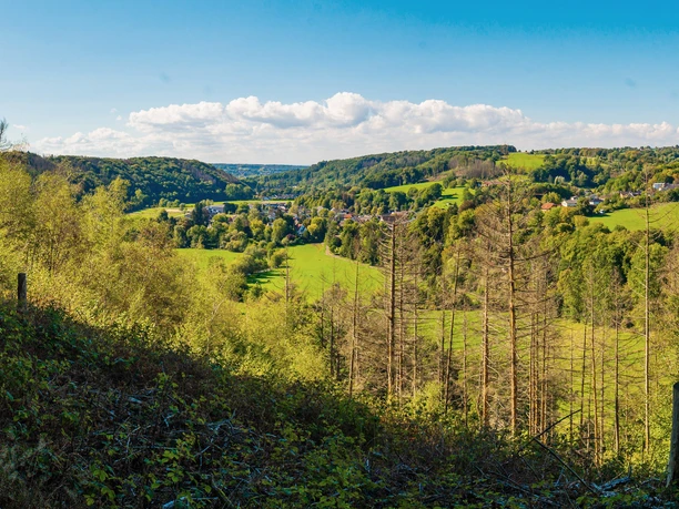 Derenbachtal Erlebnisweg Holzweg