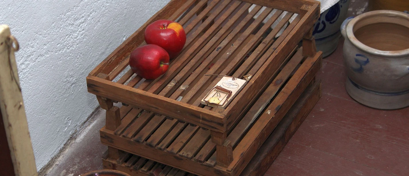 Dezentrales Stadtmuseum Gadem