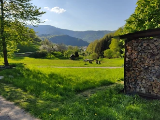 Forbach-Gausbach-Ringwiese